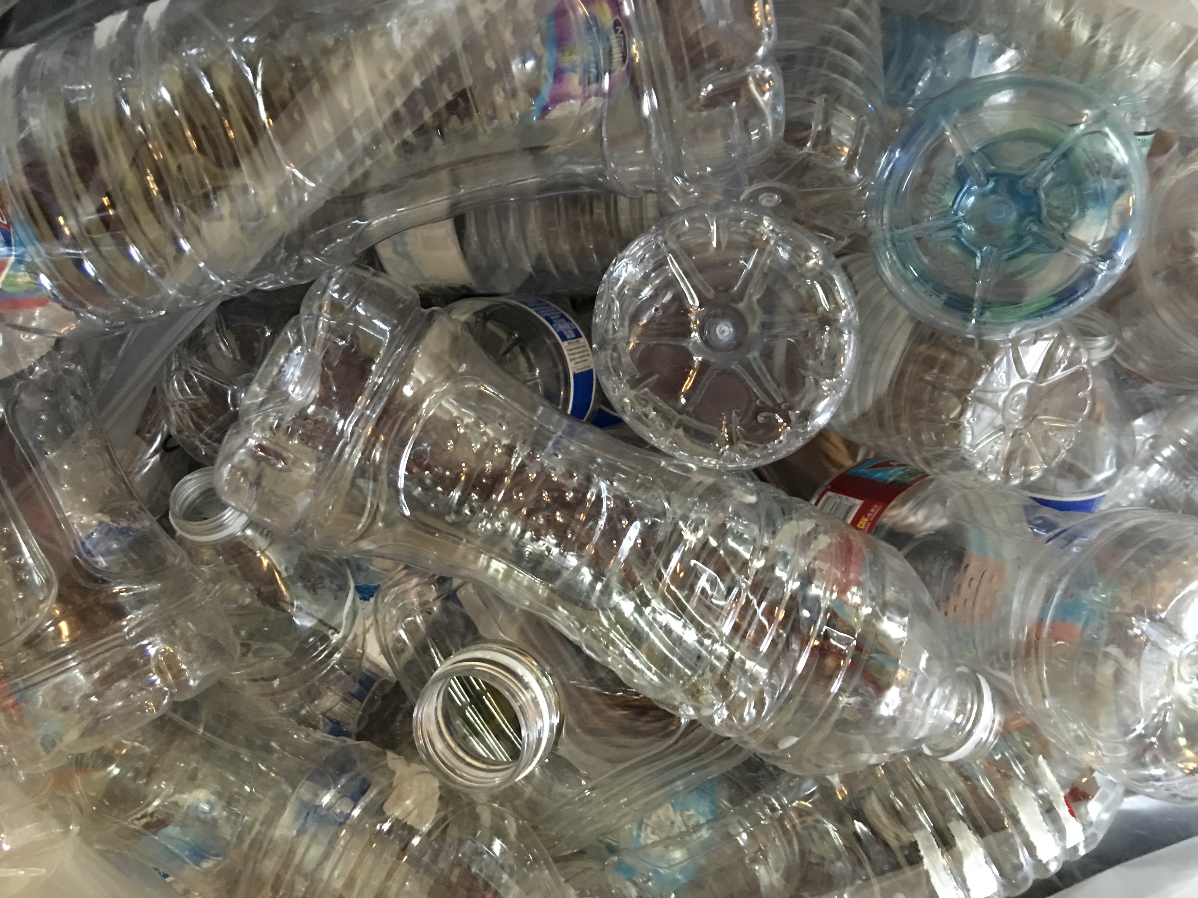 BPA Tied to Decline in Male Fertility Austin Fertility & Reproductive