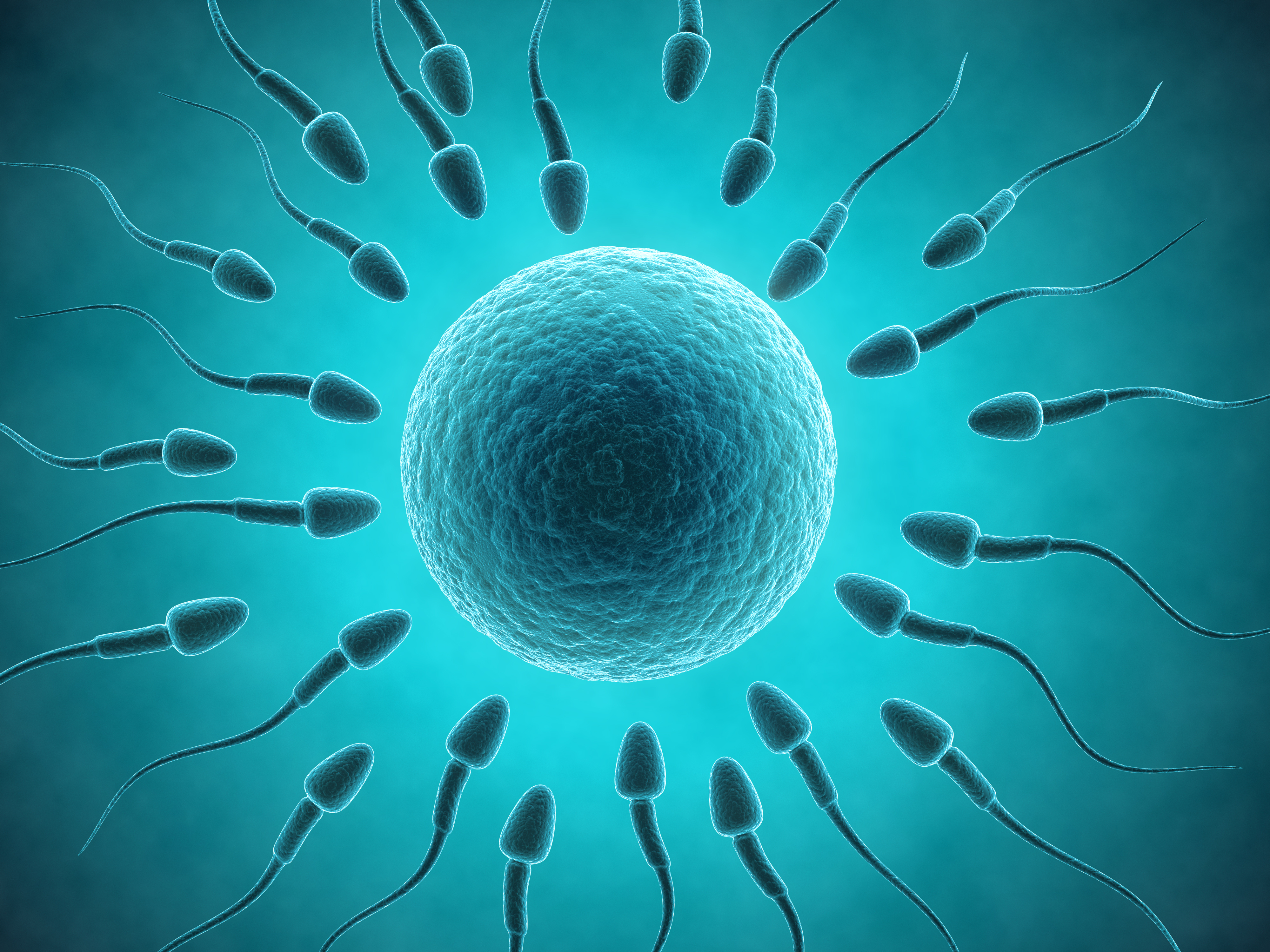 Sperm Switch Offers New Hope For Male Infertility