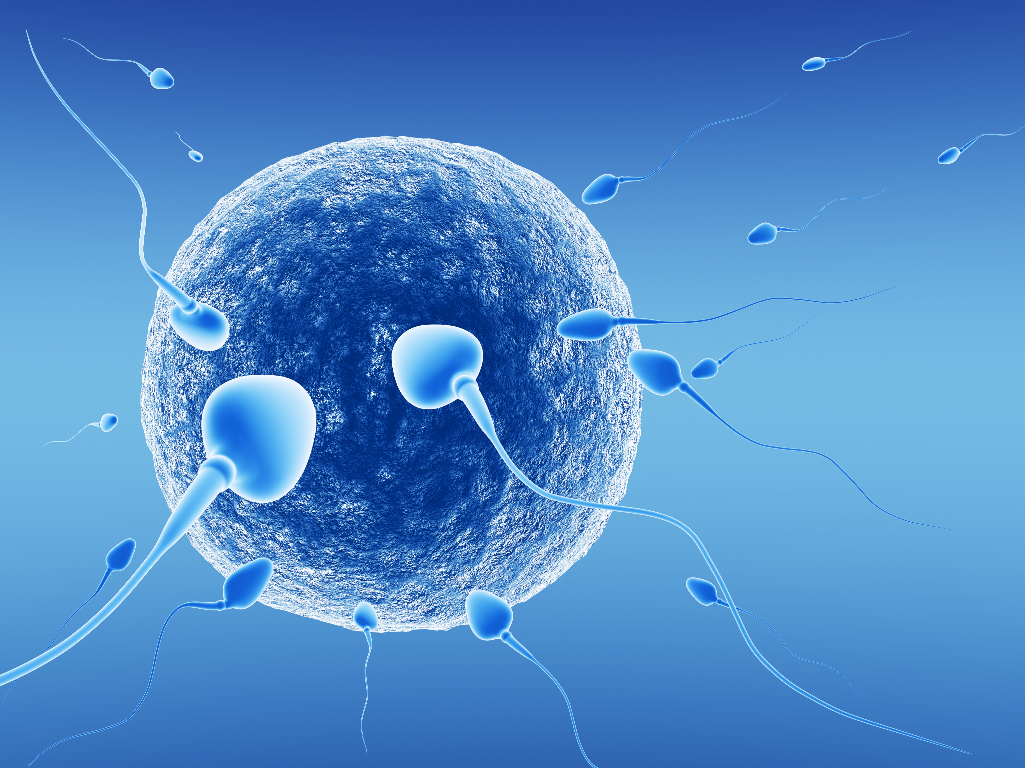 assisted sperm Female