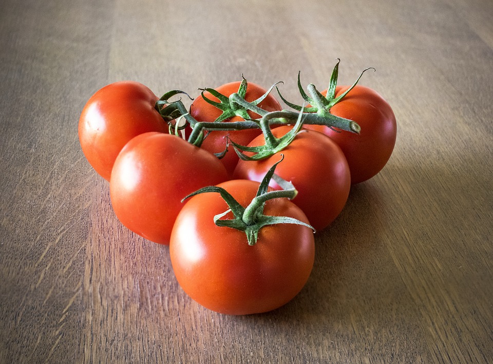 male-fertility-tomatoes