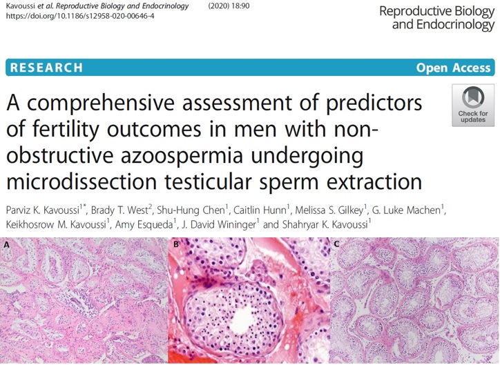 The Team At Afrm Has A 71 Sperm Retrieval Rates With Microtese For Men With Sperm Count Of Zero Austin Fertility Reproductive Medicine The Team At Afrm Has A 71 Sperm Retrieval Rates With Microtese For Men With Sperm Count Of Zero Austin Fertility Reproductive Medicine
